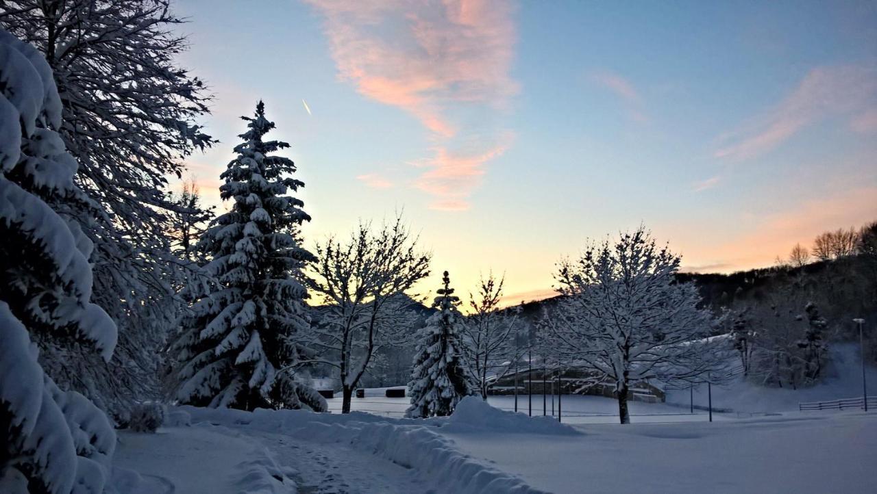 Guesthouse Bor Plitvice Lakes Плитвицкие озёра Экстерьер фото
